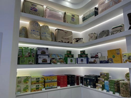 山海情深 數字賦能 濱海新區高質量續寫東西協作新篇章